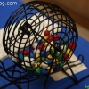 Bingo_8256