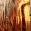 merameccaverns_5730