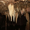 merameccaverns_5755
