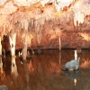 merameccaverns_5783