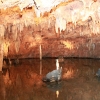 merameccaverns_5784