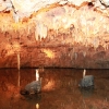 merameccaverns_5785