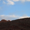 moab_8407