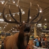 cabelas_4340