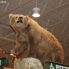 cabelas_4345