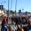 roseparade_5810