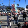 roseparade_5832