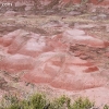 painteddesert_5026