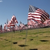 flags_6492