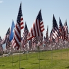flags_6498