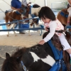 ponyrides_7820