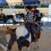 ponyrides_7823