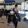 ponyrides_7826