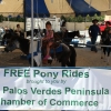 ponyrides_7832