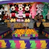 rides_8636