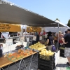 farmersmarket_5779