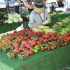 farmersmarket_5790