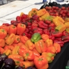farmersmarket_5799
