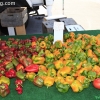 farmersmarket_5802