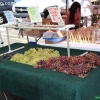 farmersmarket_5803