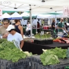 farmersmarket_5808