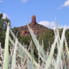 sedona_7620
