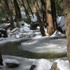yosemite-feb23_1913