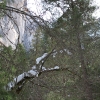 yosemite-feb23_1919