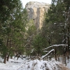 yosemite-feb23_1924
