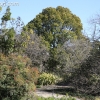 botanicgarden_9540