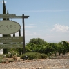 pontewinery_6579