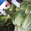 farmersmkt_7682