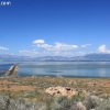 utah_6069