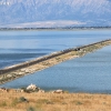 utah_6356
