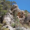 cliffdwellings_4730