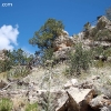 cliffdwellings_4734