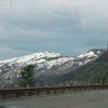 yellowstone_4794