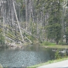 yellowstone_4803