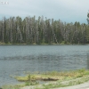 yellowstone_4806