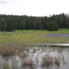 yellowstone_4821