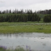 yellowstone_4823