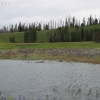 yellowstone_4827