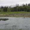 yellowstone_4828