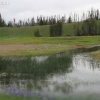 yellowstone_4829