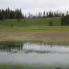 yellowstone_4833