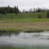 yellowstone_4834