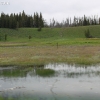 yellowstone_4835