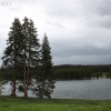 yellowstone_4861