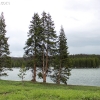 yellowstone_4862