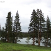 yellowstone_4863